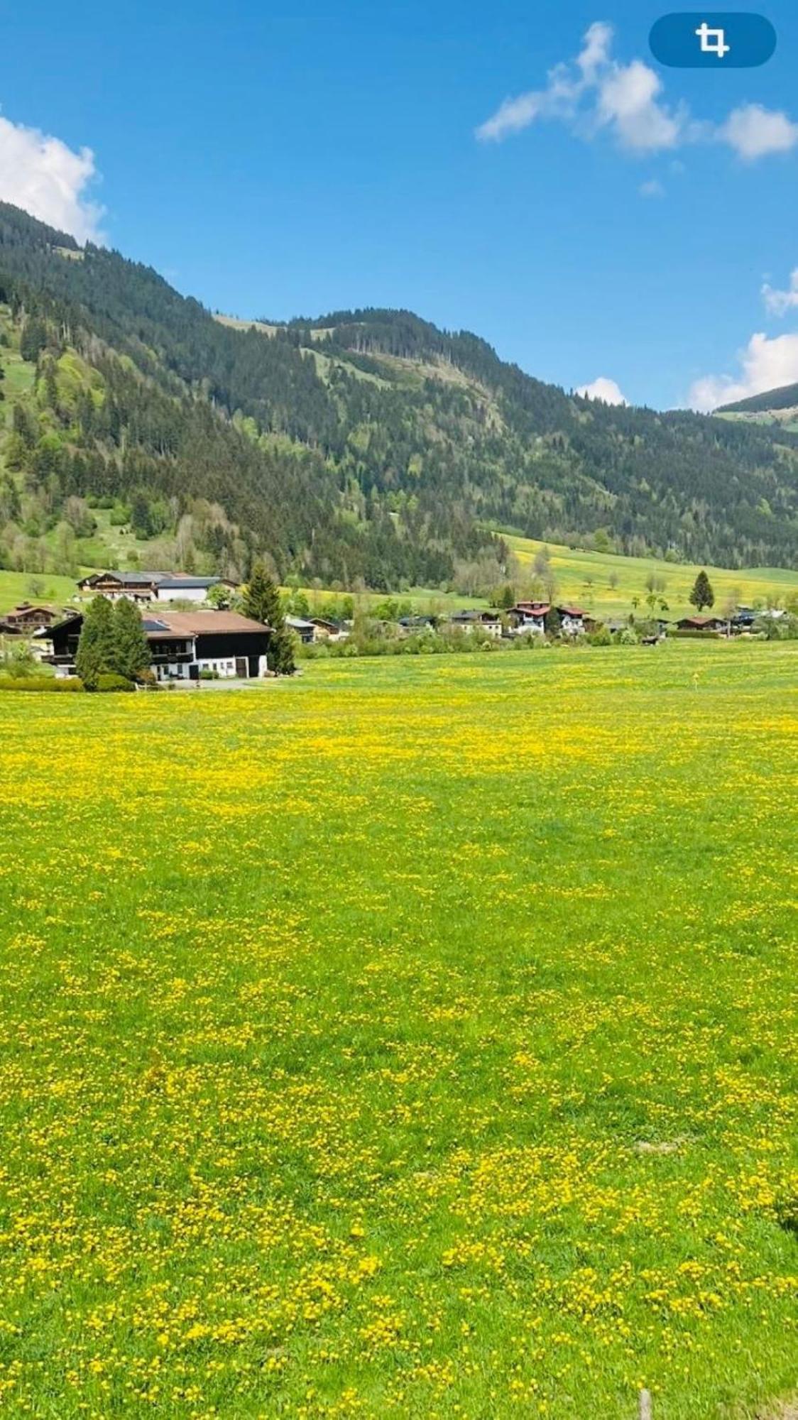 Landhaus Feller Reith bei Kitzbühel Kültér fotó